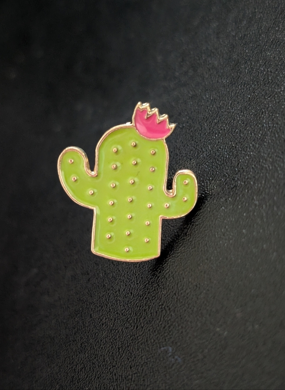 Cute Cactus Enamel Pin 🌵💖